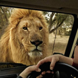 Safari in Africa: Alege cea mai luxoasa varianta, anul acesta